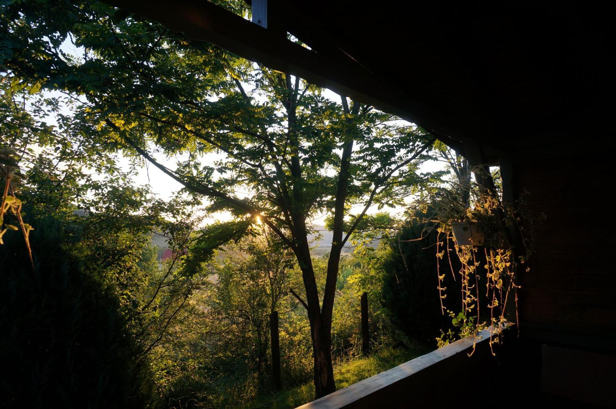 Natura Chalets Praid Exterior foto